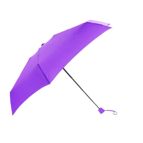 Rain Pro Folding Umbrella